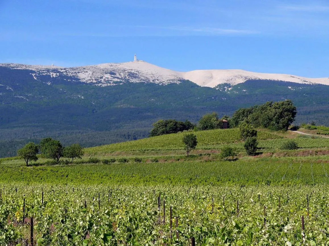 Un Petit Coin De Paradis Mazan Holiday home